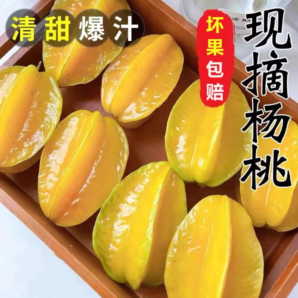 （原产地直发）应季树上熟甜杨桃清甜多汁老树薄皮五星杨桃坏果包赔