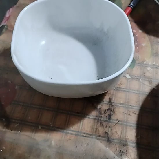 威基伍德骨瓷方碗两只瑕疵