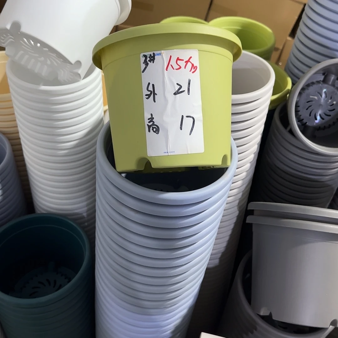 微瑕3号10个无托，果绿