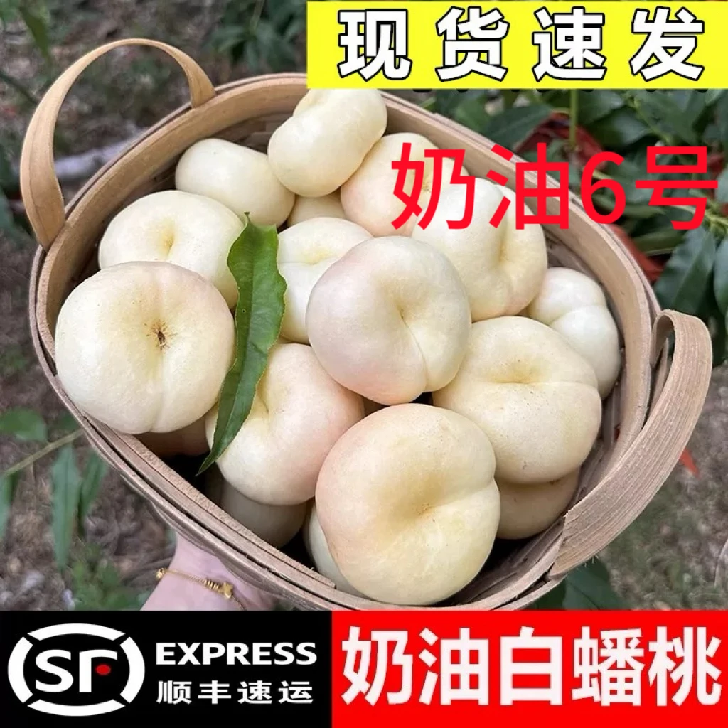 【顺丰包邮】山东蒙阴奶油白蟠桃6号新鲜应季脆甜多汁稀有品种水果