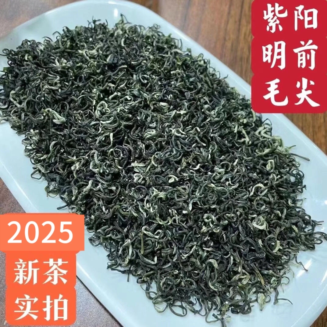 2025年新茶紫阳明前毛尖紫阳富硒茶陕西安康富硒茶高山茶浓香耐泡