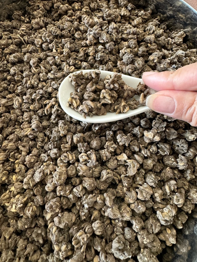 芳一今 正宗河南信阳大别山 纯野生猫爪草 小个尖尖小爪 新货水洗