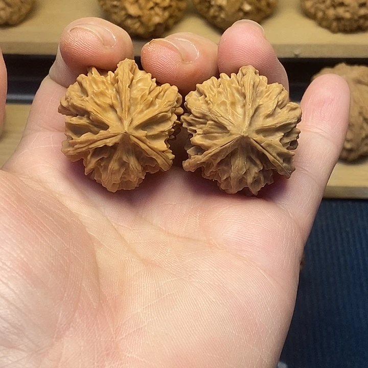 核桃34全品球奔福利