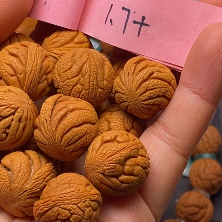 秦岭龙纹桃核15颗
