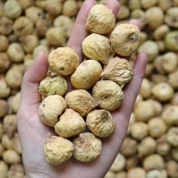 【御膳】无花果 广东汕头