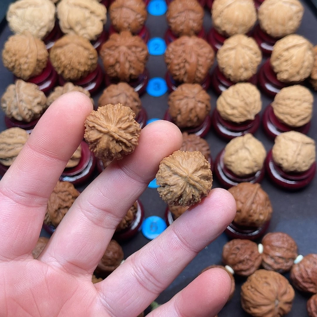 把件文玩核桃龙脊背小号