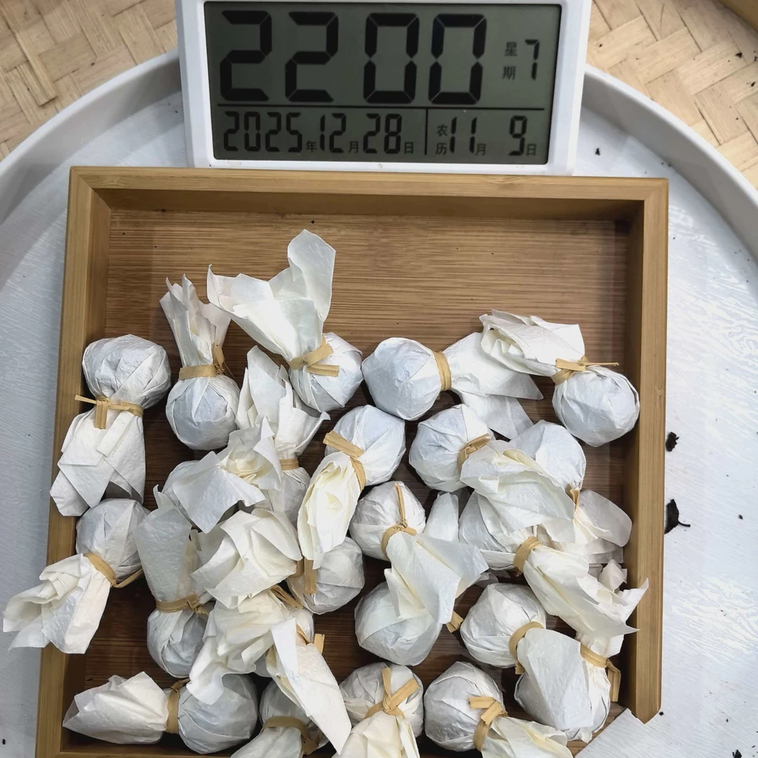 严选-3855号2018年曼松背阴山晒红红茶龙珠7g/颗12-28