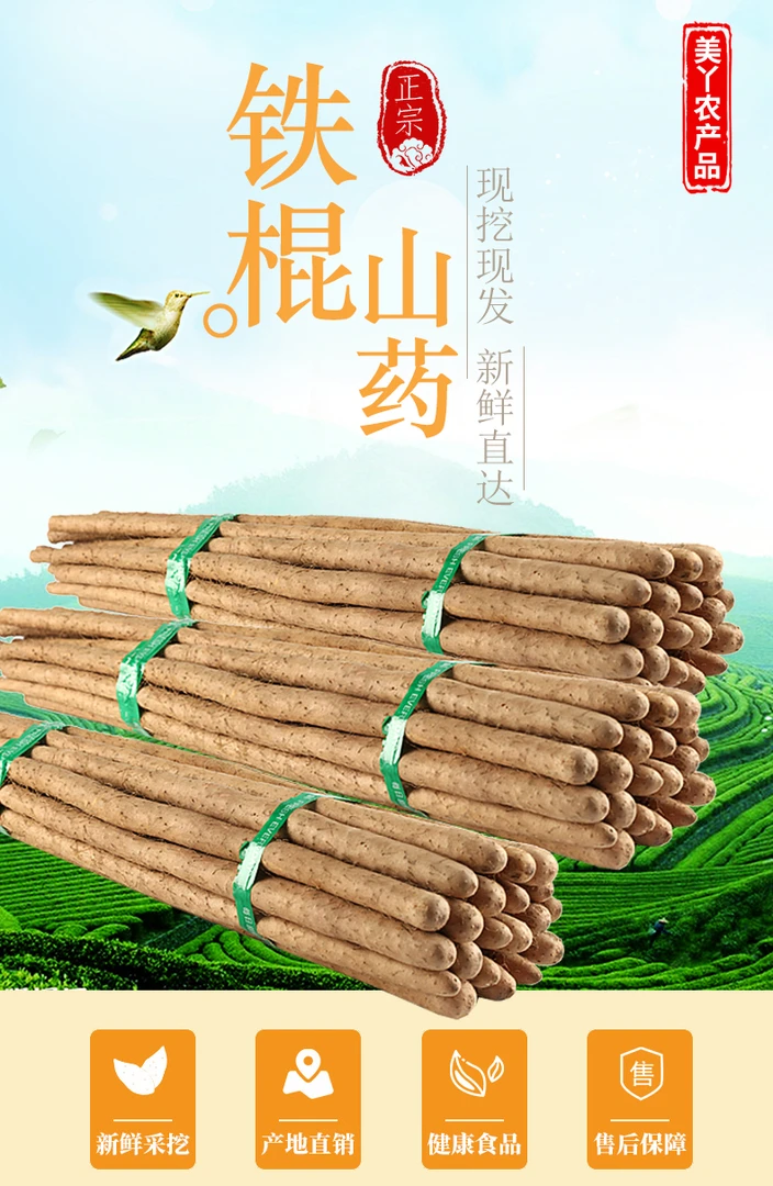 新鲜精品特大垆土铁棍怀山药粉糯山药滋补营养山药带土发货