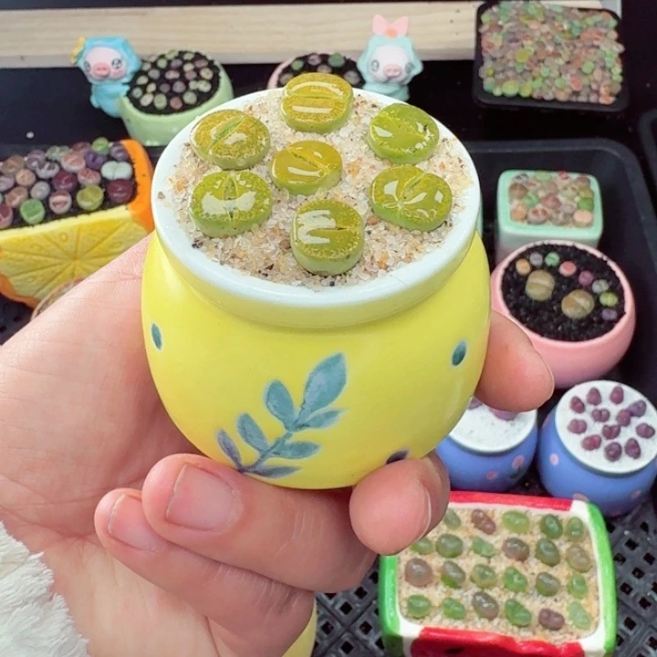 541零下地区记得拍保温箱满18包邮