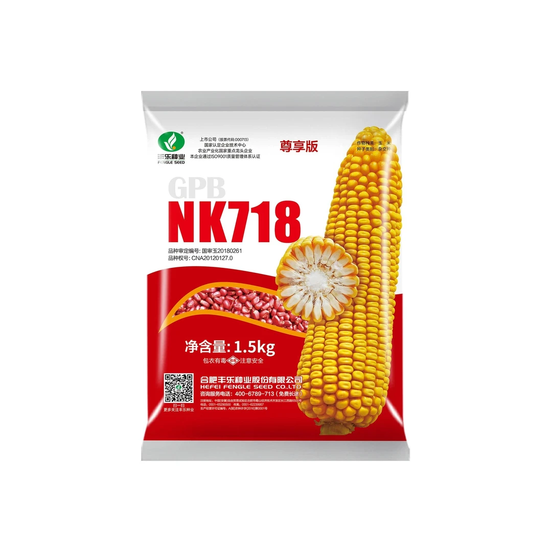NK718 玉米抗病抗倒 易机收 棒大粒深 产量高