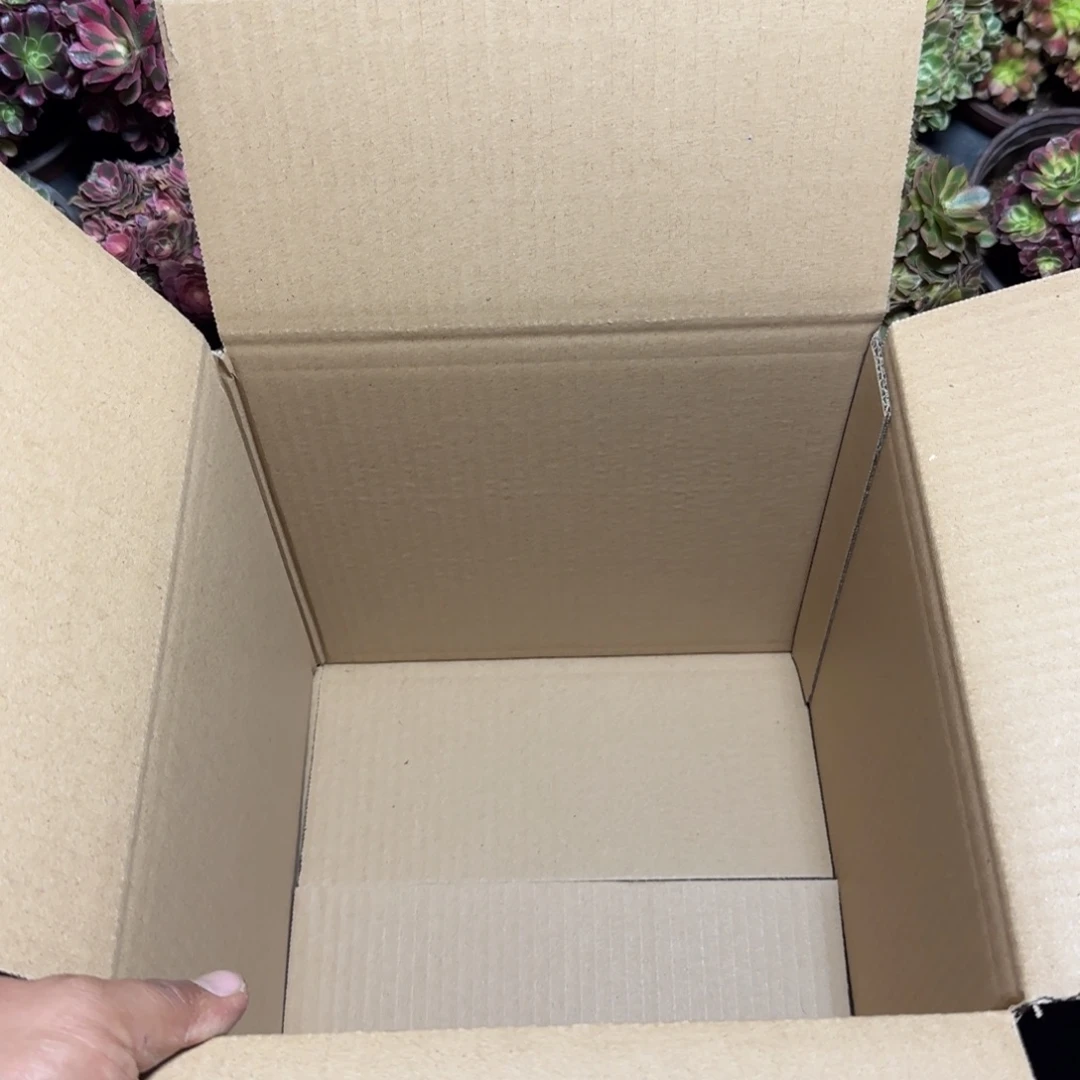 4颗锦一箱11cm盆对大小