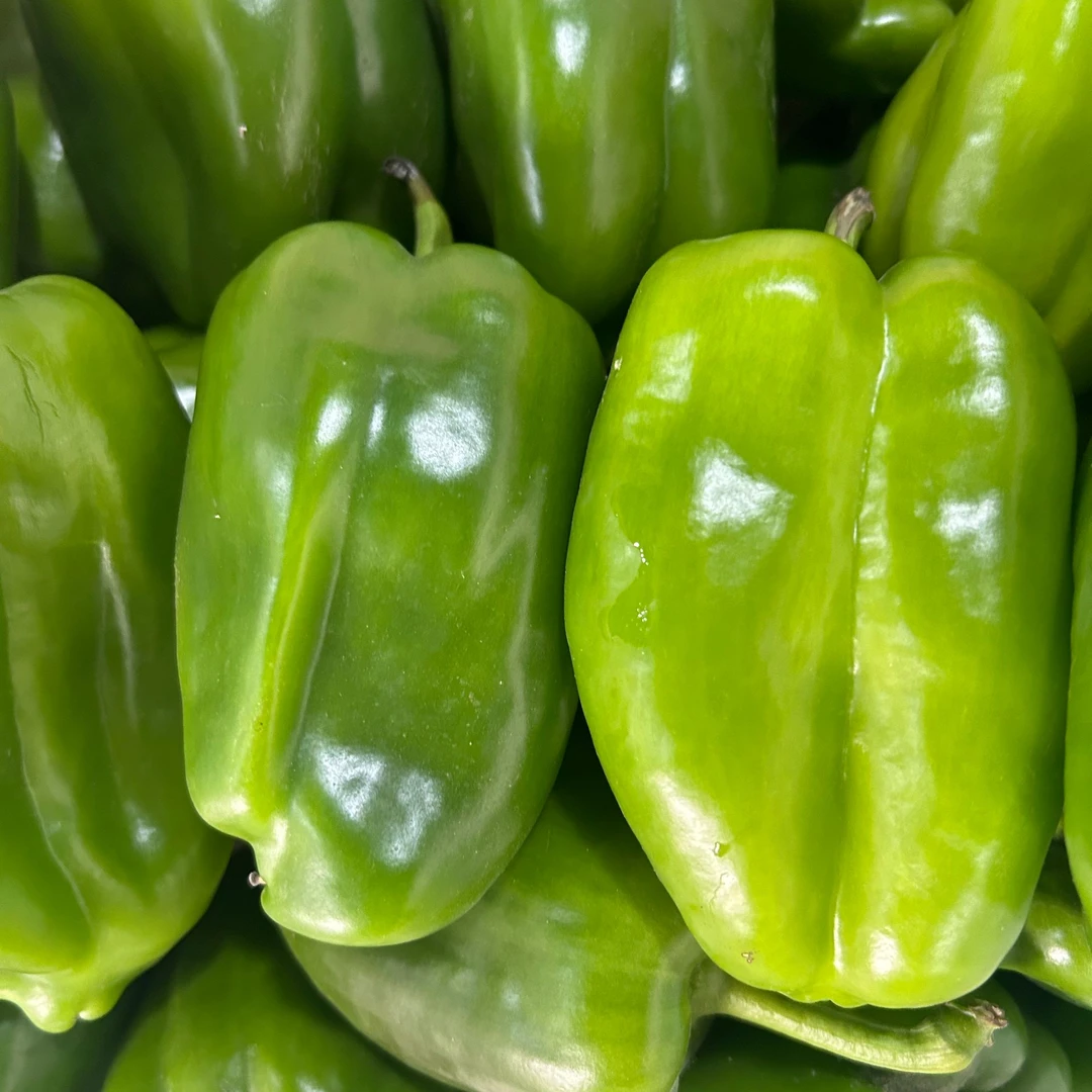 【包邮】新鲜现摘现发绿色水果圆椒