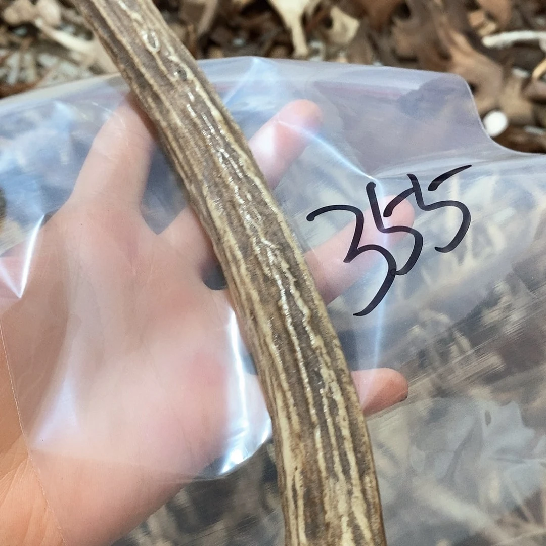 鹿角鹿角鹿角鹿面