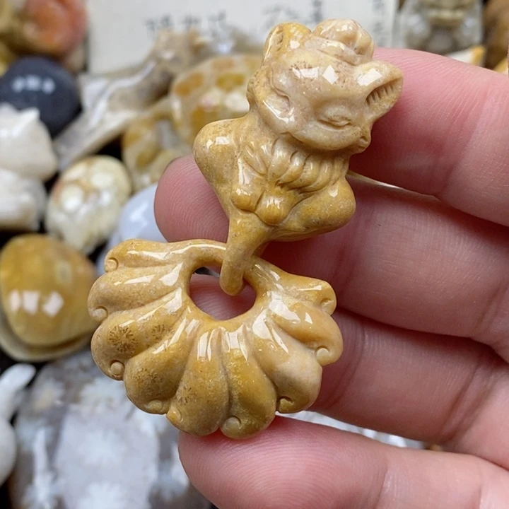 颈饰未镶嵌硅化珊瑚（珊瑚玉）