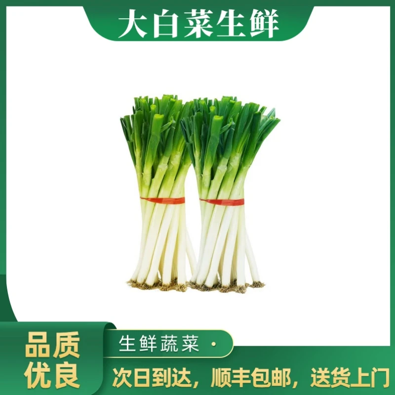 大葱 约400g 切断发货葱
