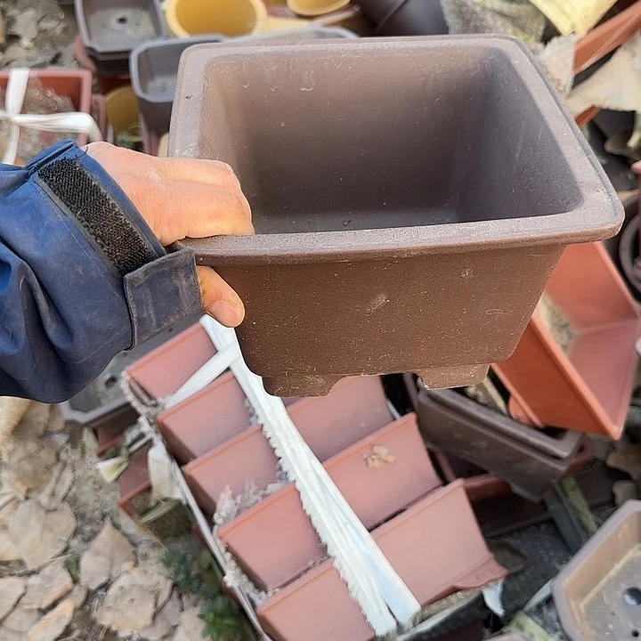 一哈来不急不快嘛亲爱你不要