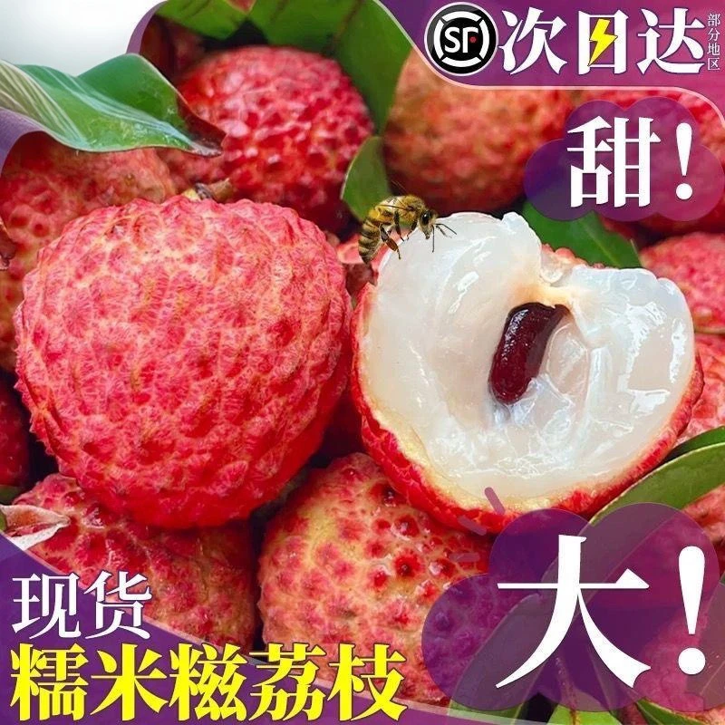 镇隆糯米糍精品果新鲜现摘当季荔枝香甜顺丰冷链空运岭南惠州