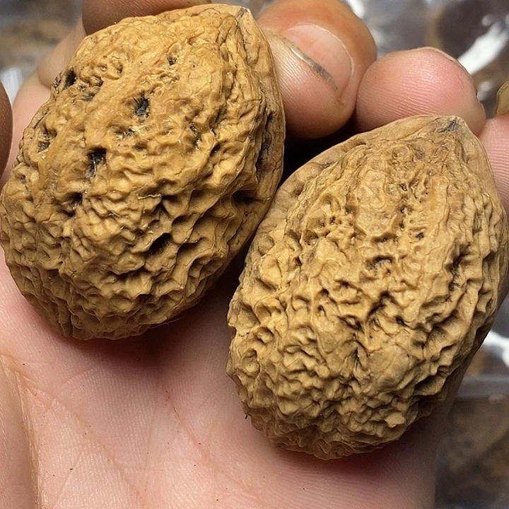 把件文玩核桃云南铁核桃39号40mm