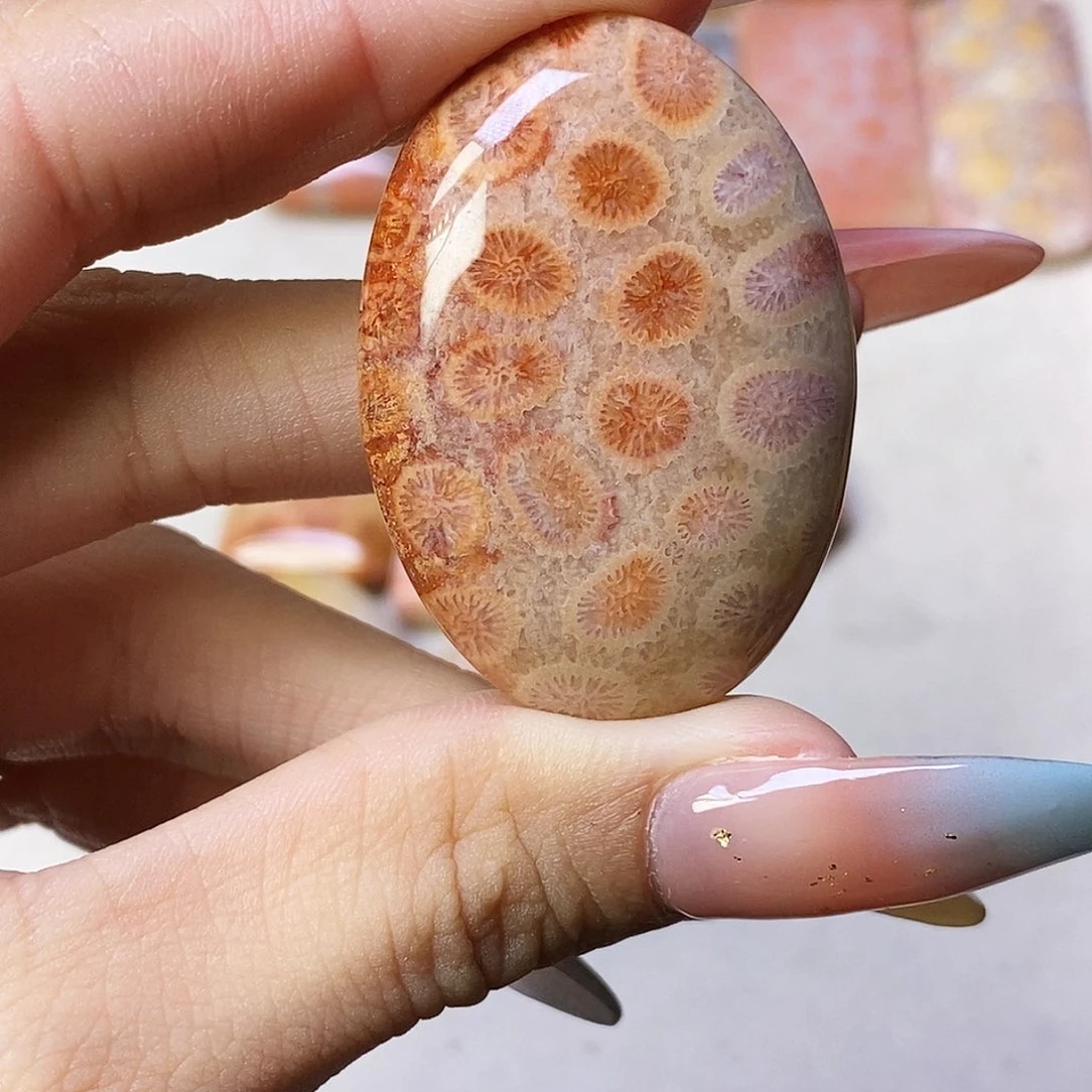 查罗石合金颈饰清***蹄