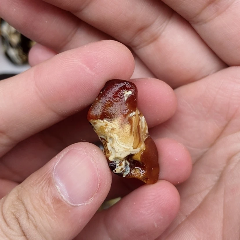 【闪购商品】定制琥珀未镶嵌蜜蜡