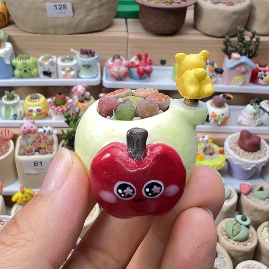 多肉植物131号拇指盆