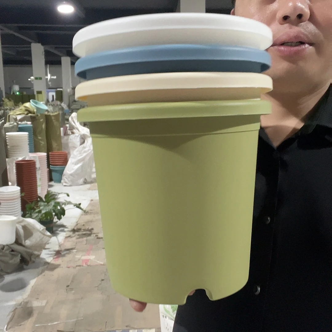 圆3号混色5个无托盘