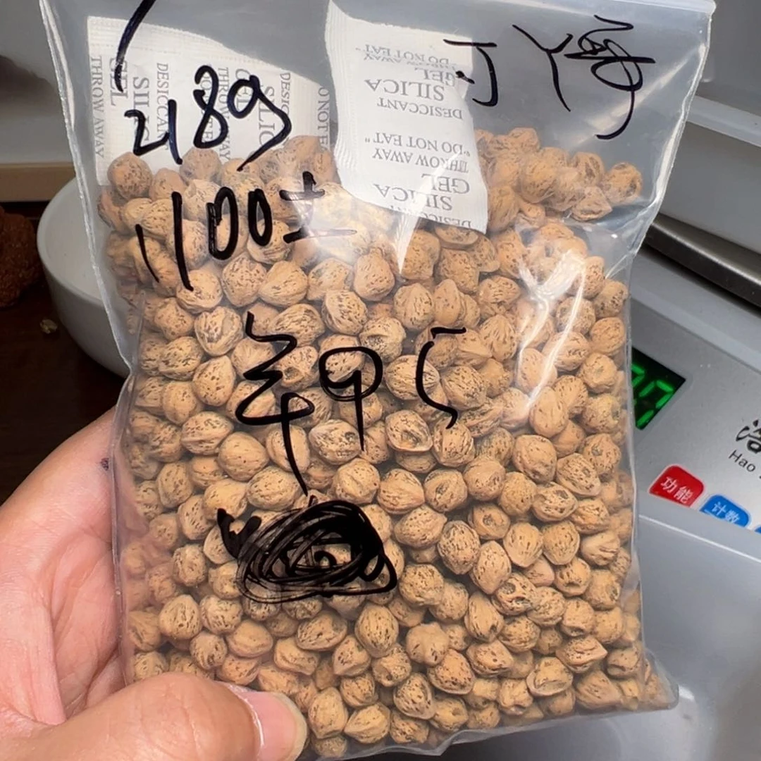 柏香籽/百香籽吊坠J****n