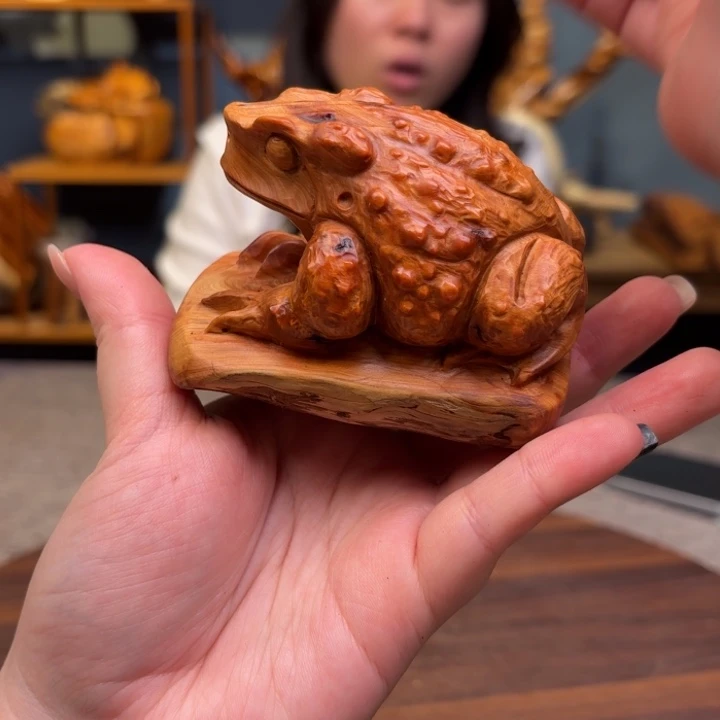 柏木（崖柏）关注一下