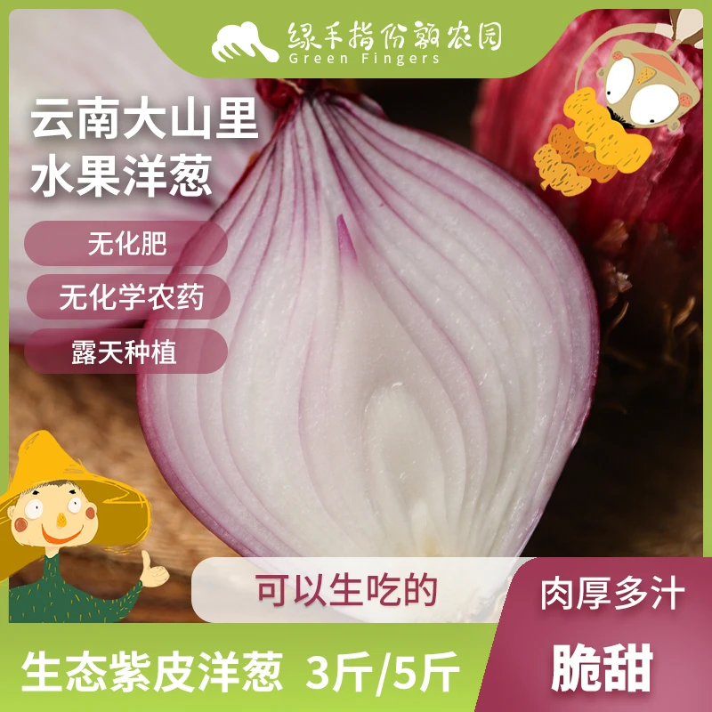 生态云南洋葱 1.5kg 绿手指份额农园