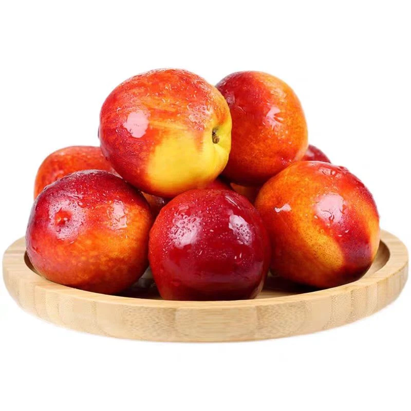 野生桃1500-3000克（桃味十足）当季新鲜水果桃子云南省