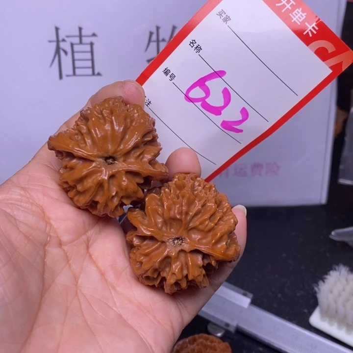 把件文玩核桃622，40苹果