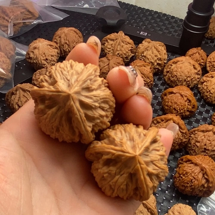 舍***得核桃手串/手链三棱