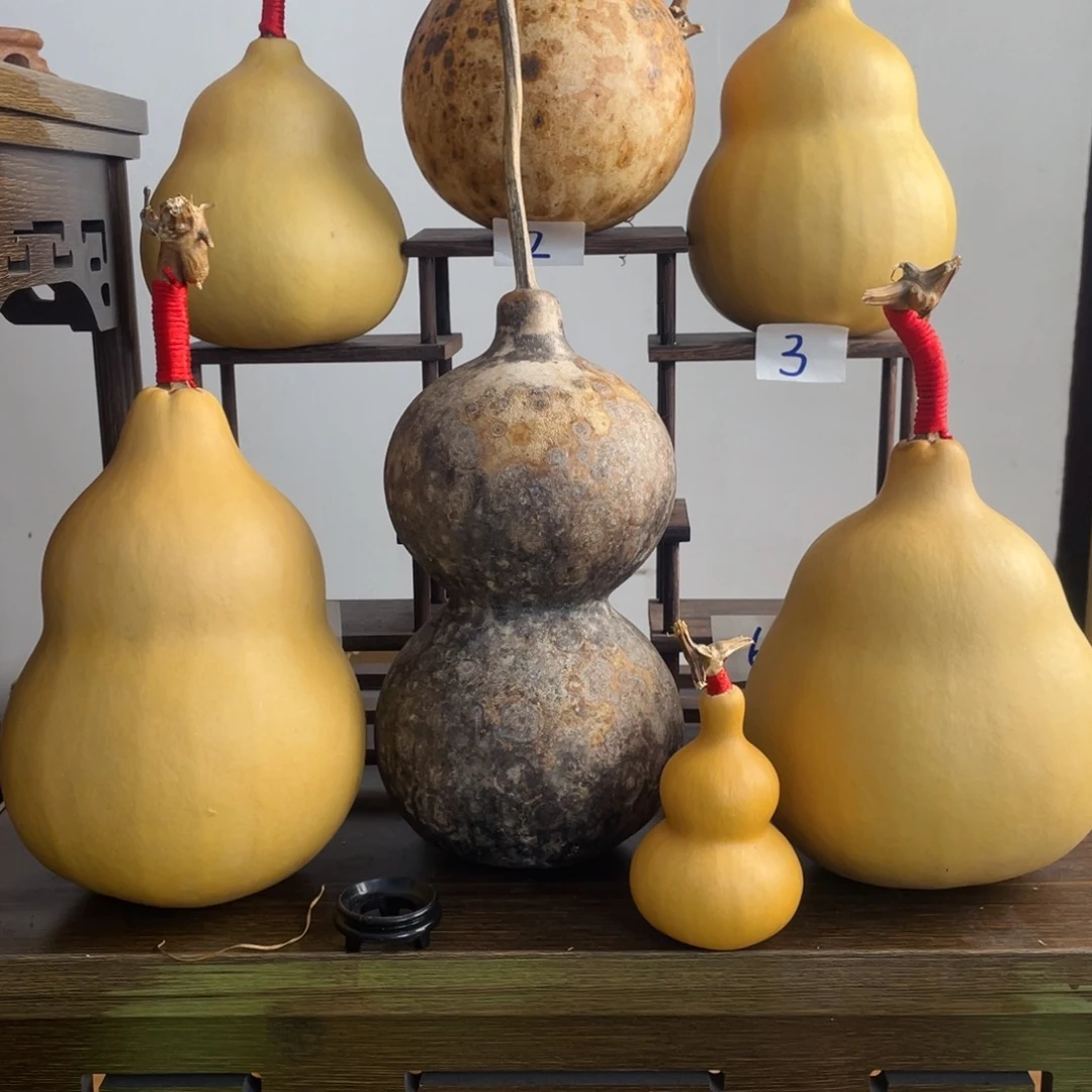 香榧木任***羊葫芦葫芦