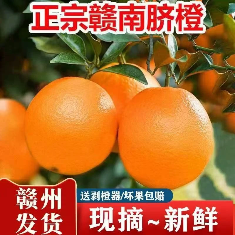 正宗四川纽荷尔脐橙皮薄肉厚多汁当季新鲜采摘（多仓发货）WL