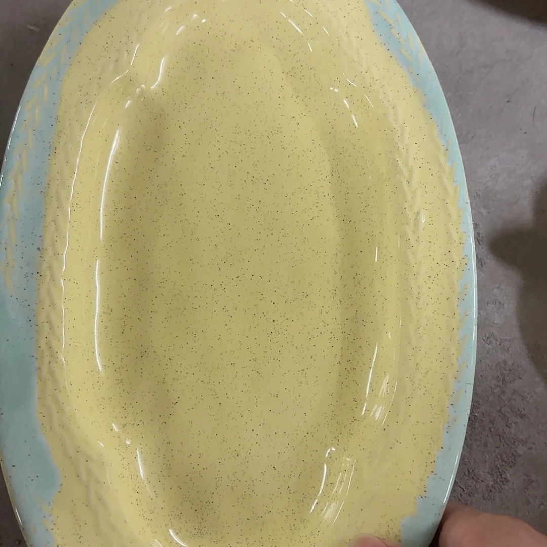 搪瓷微瑕一个12寸鱼盘