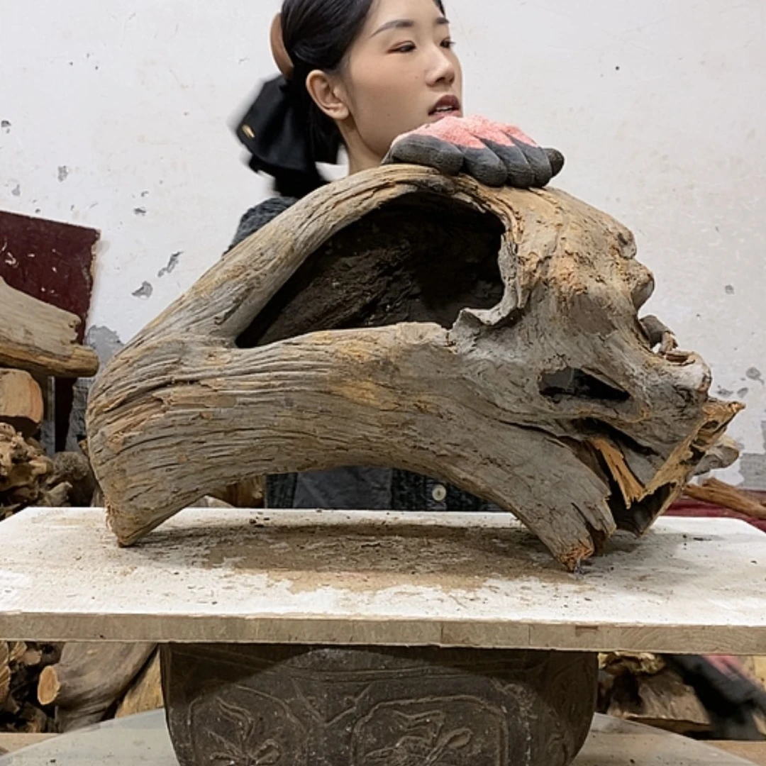 【闪购商品】柏木缘*艺我们都是好孩子