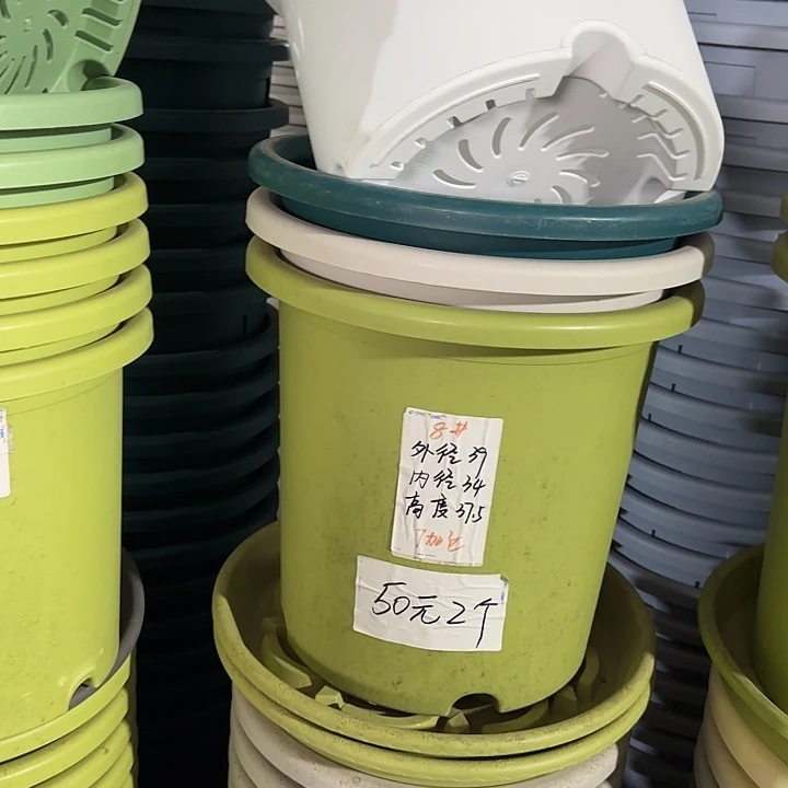 微瑕8#口径39无托果绿3个