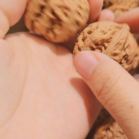 吊坠文玩核桃43粗筋