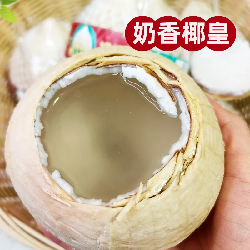 正宗泰国进口牛奶椰皇【单果270-700g颗】特大果椰青/椰皇/椰子顺丰