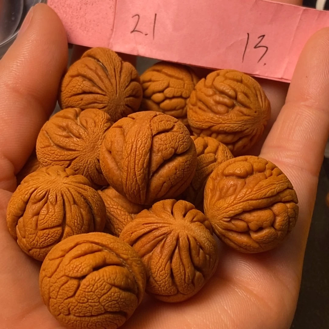 吊坠桃核陕西秦岭山桃核