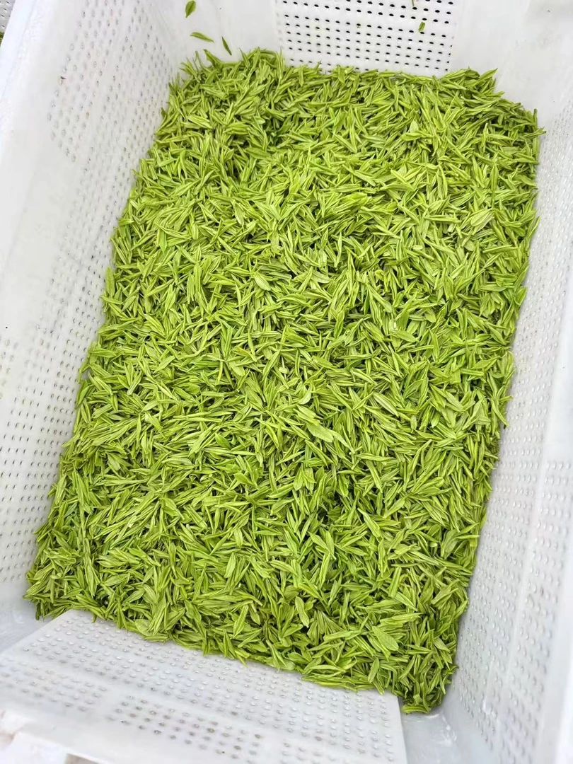【花香嫩芽]】安吉溪龙白茶安吉特产茶叶新茶绿茶白茶安吉绿茶A258