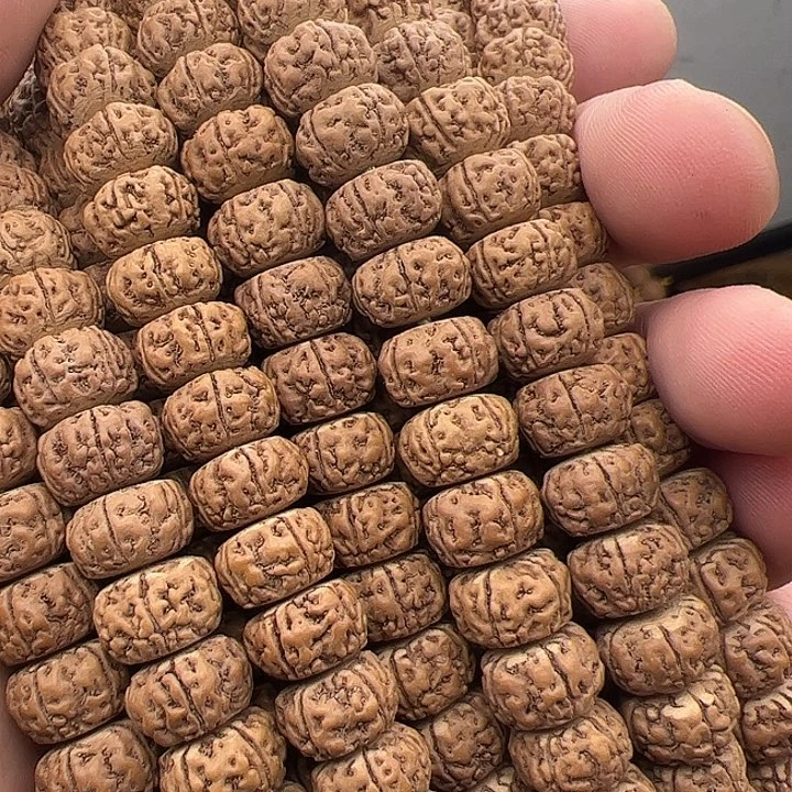 金刚菩提手串老树王藏式10左右保手持