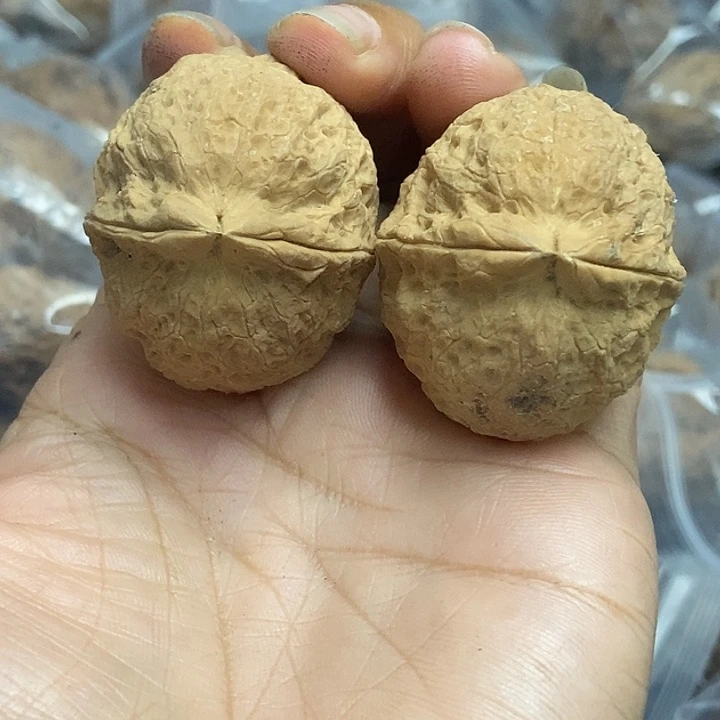 文玩核桃把件云南铁核桃基地89