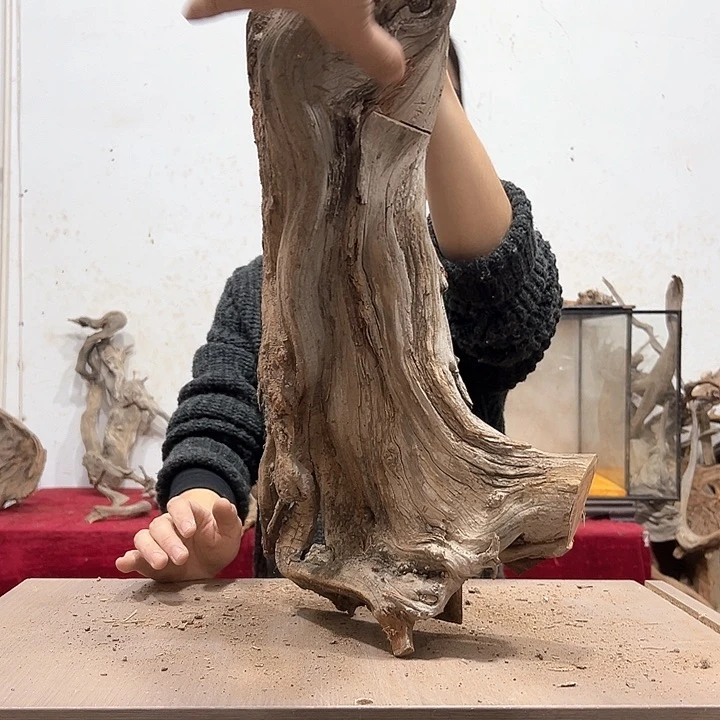 柏木柏**韵我们都是好孩子啊