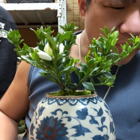 红陶钦****业一物一拍所见即所得264