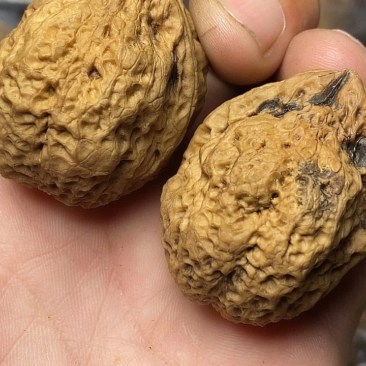 文玩核桃把件志成云铁文玩80