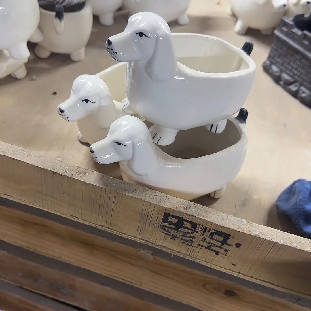 3个福利局绿植多肉盆［凑9元包邮24小时发］