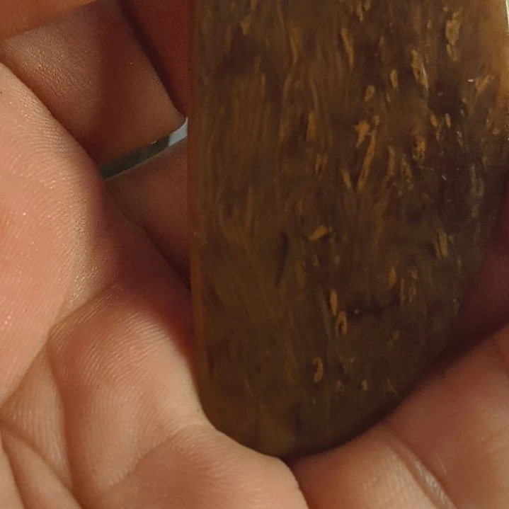有机玻璃家具摆件观赏嗷嗷的