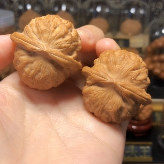 顶级皮质:石门元宝