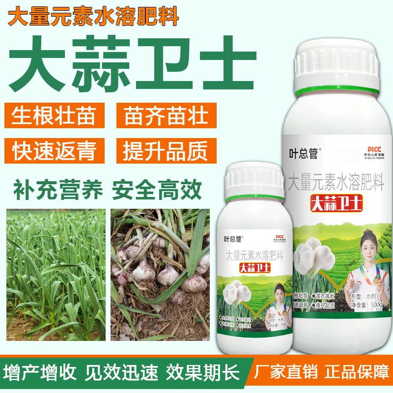 大蒜专用叶面肥防干尖黄叶生根壮苗苗齐苗壮早抽苔膨大增产正品